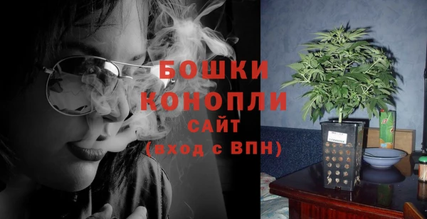 ПСИЛОЦИБИНОВЫЕ ГРИБЫ Алзамай