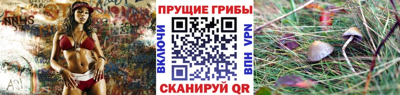 купить наркотики сайты Анадырь Галлюциногенные грибы Psilocybe